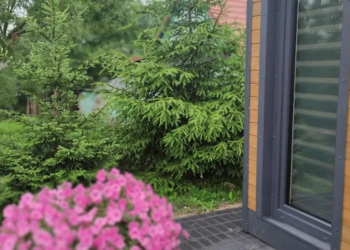 Eco House